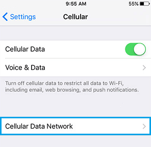 Cellular Data Network on iPhone