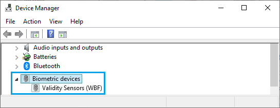 Biometrics Devices Entry in Windows Device Manager 