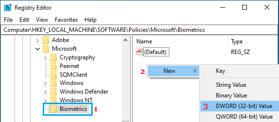 Create New DWORD in Biometrics Key