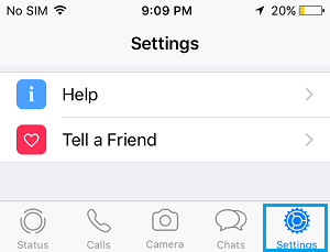 Settings Option in WhatsApp on iPhone