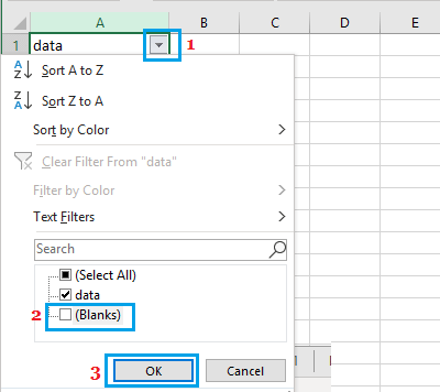 Filter Blank Rows in Excel