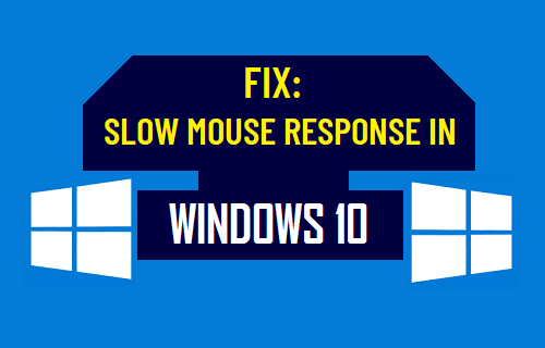 Fix: Slow Mouse Response in Windows 10