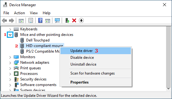 Update Mouse Driver