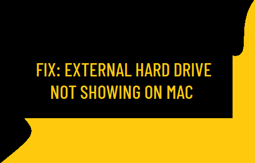 External Hard Drive Not Showing on Mac: How to Fix?