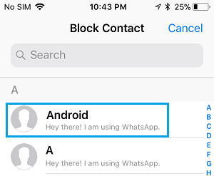 Block Contact Screen in WhatsApp on iPhone