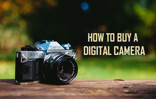 A Beginner's Guide to Buying a Camera