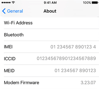 IMEI Number From About Screen on iPhone