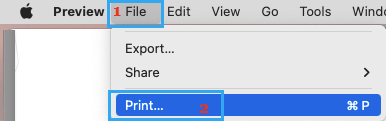 Print PDF File on Mac