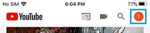 YouTube Account Icon on iPhone