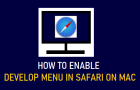Enable Develop Menu in Safari on Mac