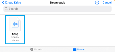 Song in iCloud Downloads Folder