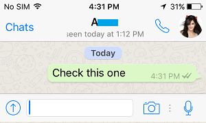 Two Check Marks On WhatsApp Message