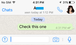 meaning of whatsapp check marks