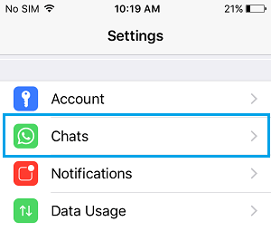 Chats Option in WhatsApp Settings Screen on iPhone