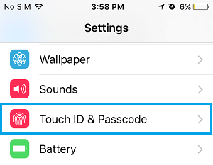 How to Lock Apps On iPhone Using Touch ID - 15