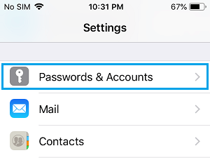 Passwords & Accounts Option on iPhone Settings Screen