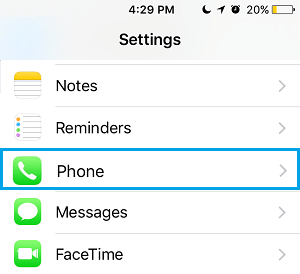Phone Option in iPhone Settings
