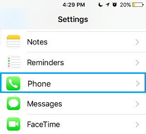 Phone Option iPhone Settings