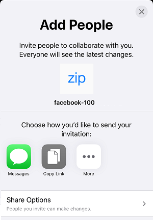 Add People and Share Options in iCloud Drive on iPhone