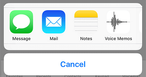 How to Save and Share Voicemail Messages On iPhone - 39