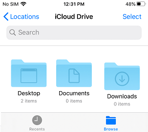 View iCloud Drive Files and Folders on iPhone