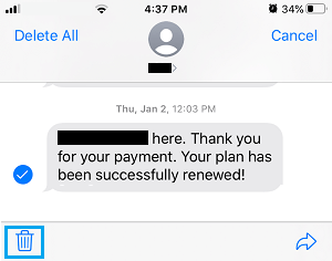 How to Delete Text Messages From iPhone - 29