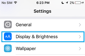 Display & Brightness Tab in Settings on iPhone