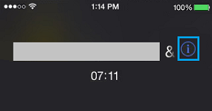 iPhone Contact Information Tab