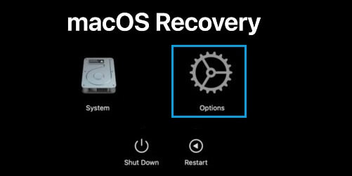 macOS Recovery Screen on M1 Mac