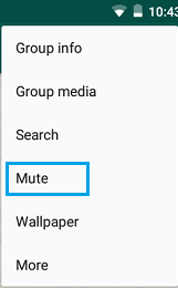 WhatsApp Group Mute Tab on Android Phone