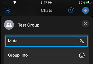 Mute WhatsApp Chat Option on iPhone