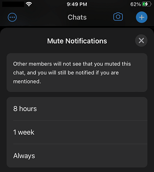 Select Mute Period For WhatsApp Notifications on iPhone