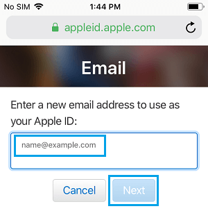 Enter New Apple ID Email Address