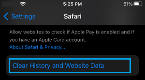 Clear History And Website Data Option in Safari on iPhone