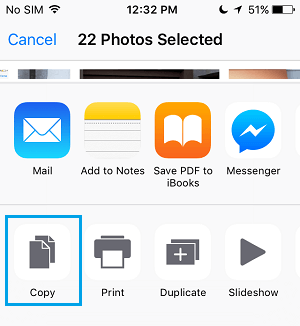 Copy Option Photos App iPhone