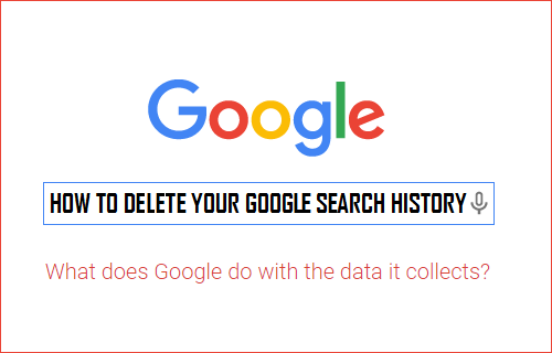 How to Delete Your Google Search History