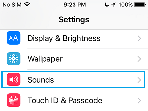 Sounds Option on iPhone Settings Screen