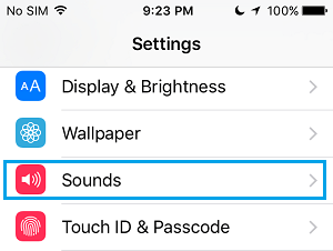 How to Change Ringtone on iPhone - 60