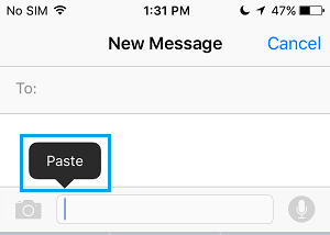 Paste Option in Messages App iPhone