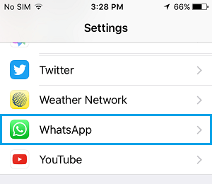 WhatsApp Tab on iPhone Settings Screen