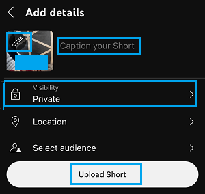 Add Caption, Select Visibility and Upload Video to YouTube