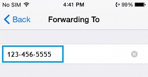 How to Forward Calls to Another Number on iPhone - 12