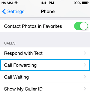 Call Gorwarding Option On iPhone