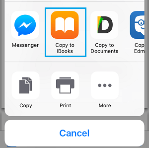 Copy to iBooks icon on iPhone Share Menu