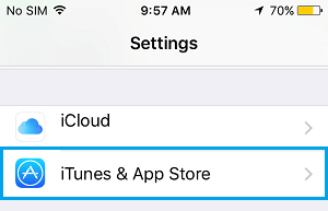 iTunes and App Store Tab on iPhone