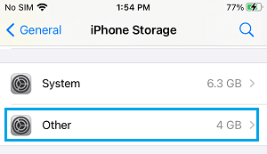 Amount of Other Storage on iPhone