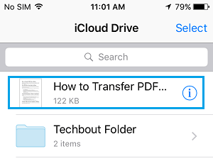 Uploaded PDF File on iCloud Drive