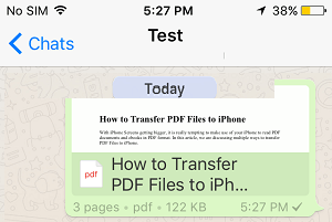 PDF File Recieved on WhatsApp for iPhone