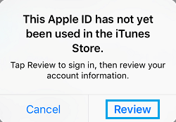 Review Apple ID Tab on iPhone Popup Menu