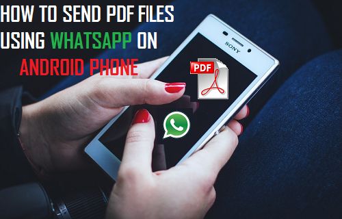 How to Send PDF Files Using WhatsApp On Android Phone - 29